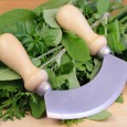 Aroma und Verwendung von Kräutern Die folgende Tabelle zeigt die beliebtesten und gebräuchlichsten Küchenkräuter. Erfahren Sie mehr ...