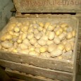 Drei einfache Prüfungen zur Feststellung der Laberfähigkeit sowie Tipps für die richtige Laberung von Kartoffeln erfahren Sie hier ...