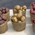 Speisekartoffeln werden nach ihren Kocheigenschaften unterschieden ...