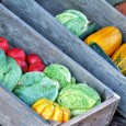 Ein besonderes Angebot vieler Bio-Bauern sind Obst- und Gemüsekisten. Finden Sie einen Lieferanten für Biokisten aus ihrer Umgebung ...