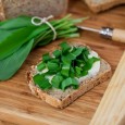 Bärlauch – Wirkung und Inhaltsstoffe Bärlauch wird zwischen Februar und März geerntet. Ihm werden zahlreichen Wirkungen nachgesagt ...