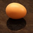 Gekochtes oder rohes Ei? Weißes oder braunes? Die Kochzeit beim Eierkochen? ...