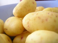 Kalorien Kartoffeln Kalorien Kartoffeln