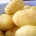 Die Kartoffel schlägt Pommes Frites und Chips um Längen in Bezug auf Fett- und Kaloriengehalt ...