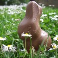 Der Osterhase versteckt zu Ostern die Nester – Aber wie viele Kalorien versteckt er dabei auch?