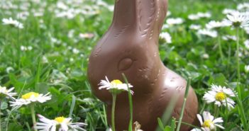Wie viele Kalorien stecken im Schoko-Osterhasen? Osterhase