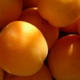 Die gesunden Inhaltstoffe der Marille Keine andere Obstsorte hat einen höheren Gehalt an Beta-Carotin ...