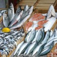Vor allem die Seefische sind ein idealer Lieferant für Jod und Omega-3-Fettsäuren ...