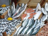 Fisch gesund Fisch gesund
