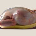 Österreichische Gänse werden artgerecht gehalten. Das spielt, ebenso wie eine perfekte Zubereitung, eine große Rolle beim Geschmack des Fleisches ...