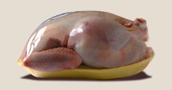 So kaufen Sie das perfekte Martinigansl Frisches Huhn