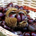 Maroni schmecken mehlig-süßlich und haben ein angenehmes, unaufdringliches Nussaroma. Die Kastanien werden geröstet oder gekocht als Beilage zu ...