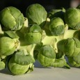 Wie kocht man Rosenkohl? Erfahren Sie mehr über die Zubereitung von Rosenkohl ...