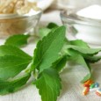 Stevia – Zulassung des Zuckerersatzes Erfahren Sie mehr darüber, was Stevia ist, wie es verwendet wird und wie kritische Stimmen über die Verwendung von Stevia denken ...