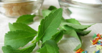 Stevia – Zulassung des Zuckerersatzes Stevia