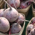Gewaschene Rote Rüben am besten als Ganzes einfrieren. Zum Zubereiten einfach wie gewohnt kochen und weiterverarbeiten ...