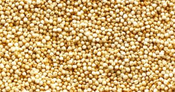 Quinoa – Was ist das? Quinoa