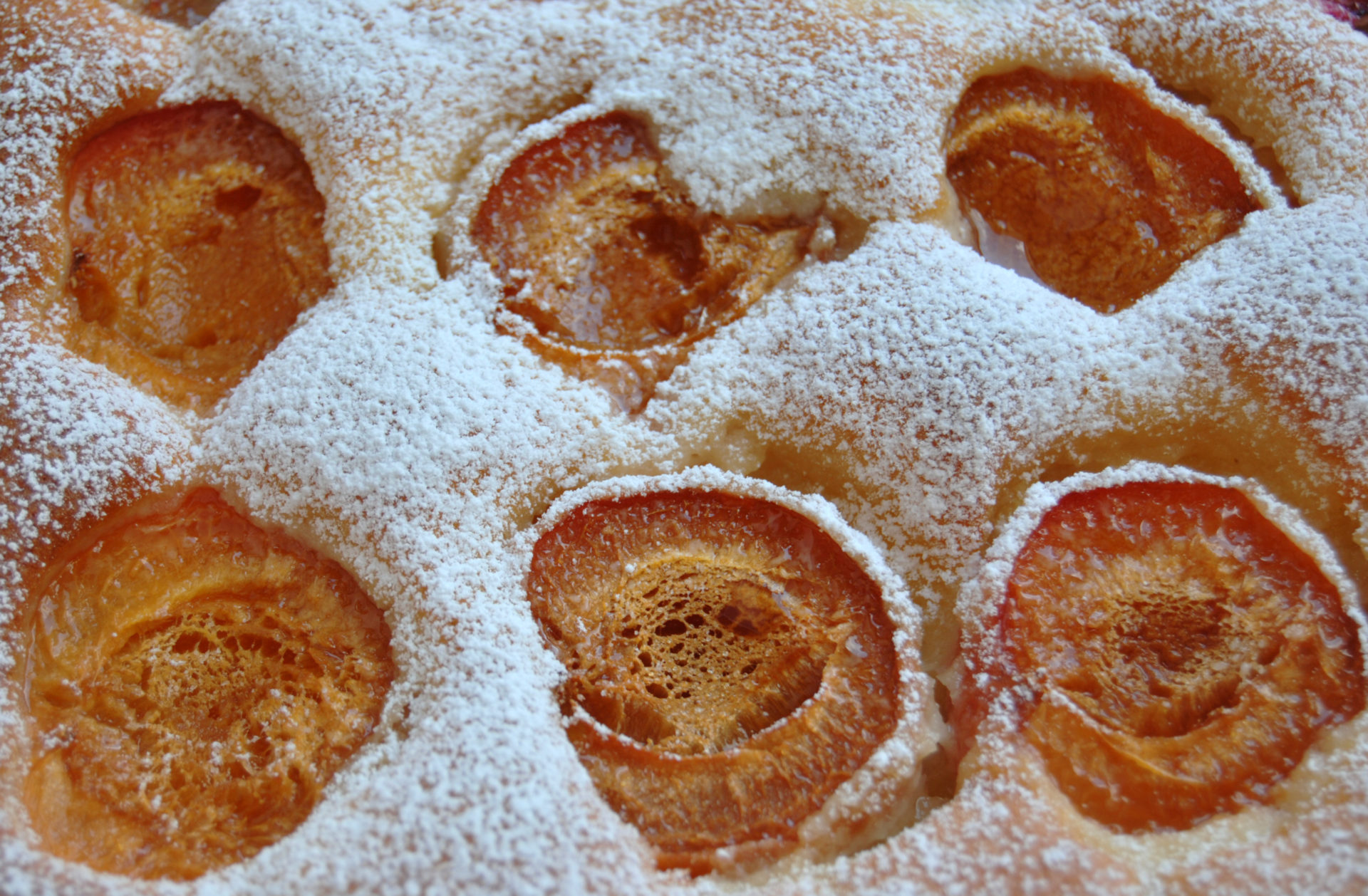 Blitz-Marillenkuchen - Die Frische Küche