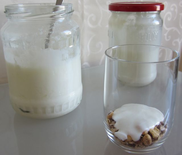 Joghurt selber machen ohne Maschine - Die Frische Küche